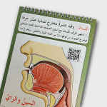 ⁦مخارج الحروف العربية⁩ - الصورة ⁦2⁩